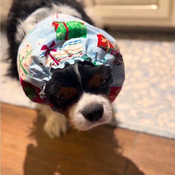 SNOOD Long Eared Dog Hat for Mealtime & Feeding - Picture 14 of 17